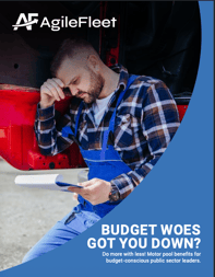 Budget Woes Cover