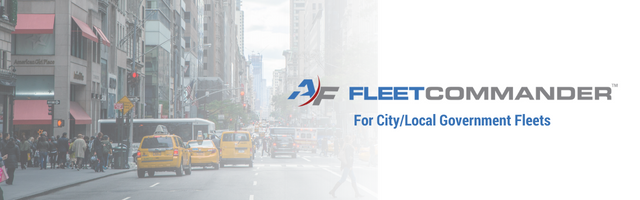 City local govt fleets (2)