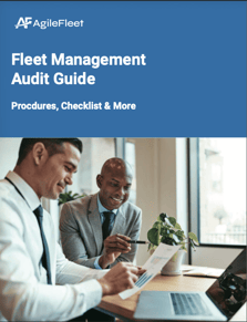 Fleet Management Audit Guide Cover