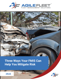 mitigate risk
